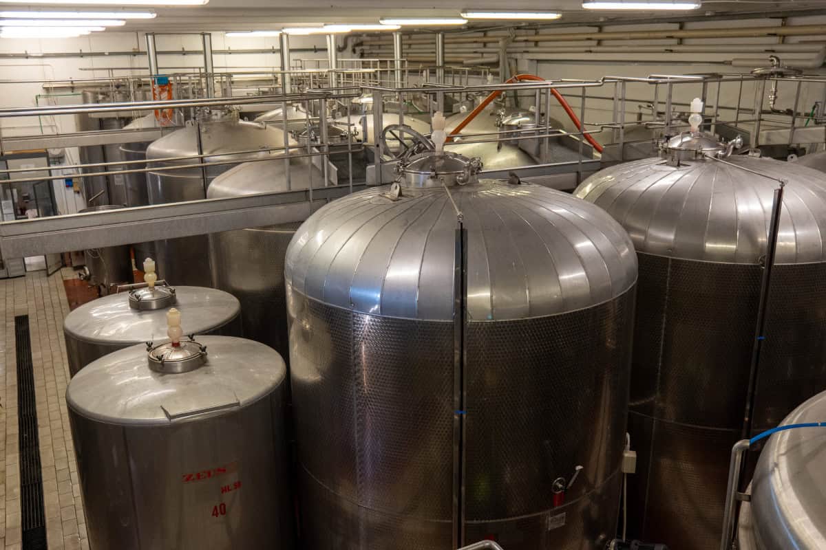 cantina_friggiali_acciaio