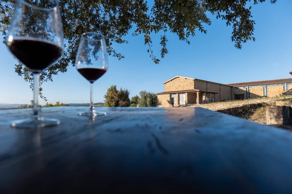 degustazioni_friggiali