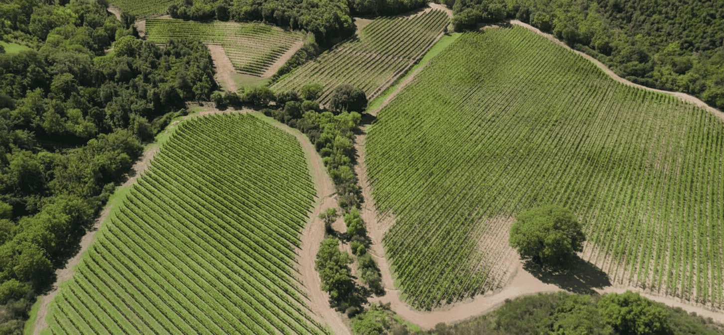 tenuta_pietranera_agosto